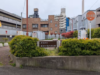 氷川つるかめ公園の写真2