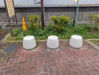 氷川つるかめ公園の写真3