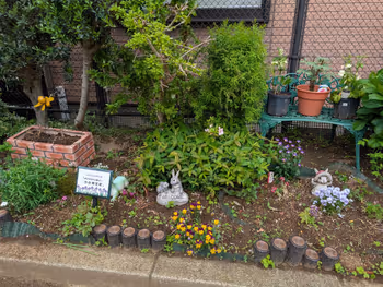 氷川みかん公園の写真3