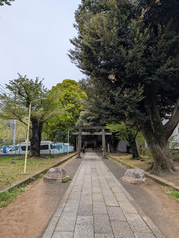 氷川の杜公園の写真2