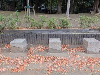 氷川の杜公園の写真7