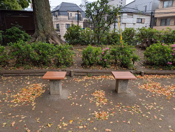 氷川の杜公園の写真5