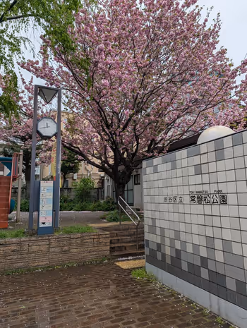 常磐松公園の写真1