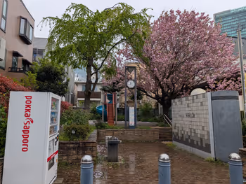 常磐松公園の写真2