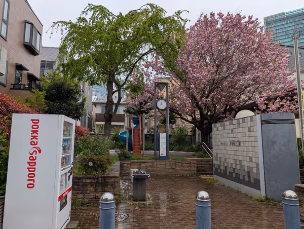 常磐松公園の写真2