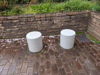 常磐松公園の写真3