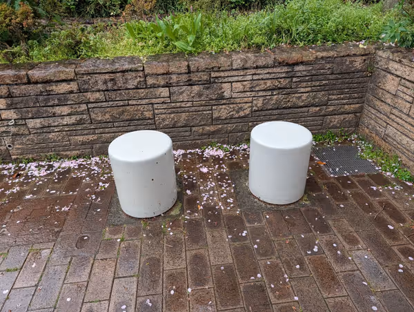 常磐松公園の写真3