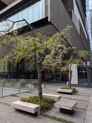 東京サンケイビル A1出口側 公開空地の写真1