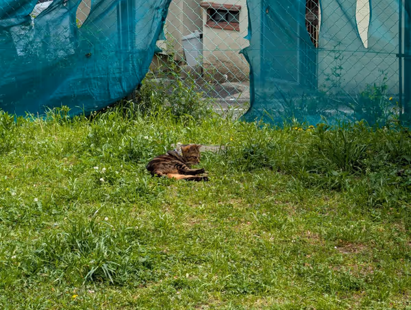 醸造試験所跡地公園の写真4