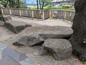 音無親水公園 舟串橋付近の写真2