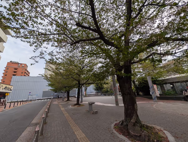 染井吉野記念公園の写真2