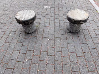 染井吉野記念公園の写真3