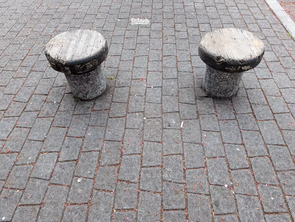 染井吉野記念公園の写真3