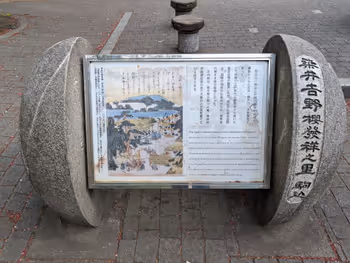 染井吉野記念公園の写真4