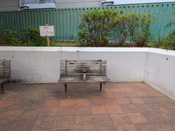 駒込公園の写真7