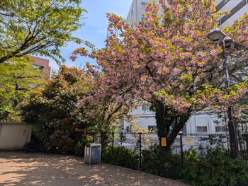 三河台公園の写真7