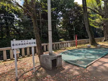 氷川神社境内遊び場の写真7