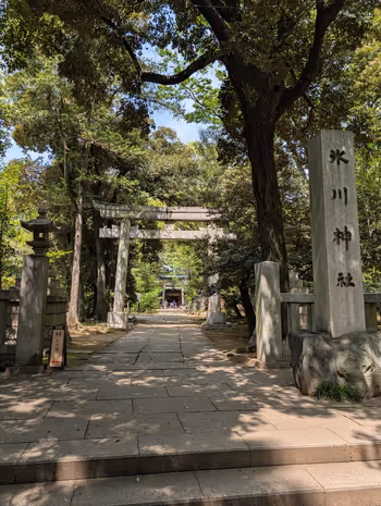 氷川神社境内遊び場の写真2