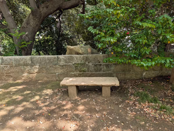 氷川神社境内遊び場の写真3