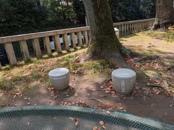 氷川神社境内遊び場の写真4