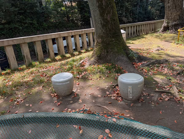 氷川神社境内遊び場の写真4
