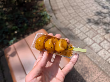 赤坂小前の写真6