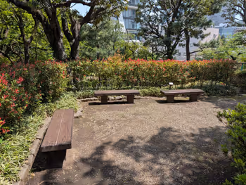 乃木公園の写真4