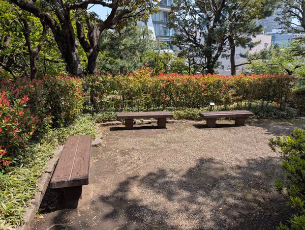 乃木公園の写真4