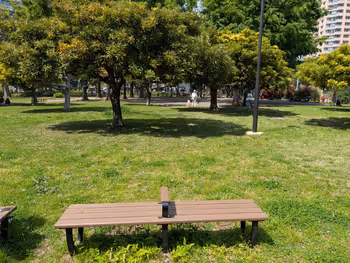 青山公園(北地区)・青葉公園の写真7