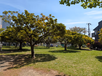 青山公園(北地区)・青葉公園の写真2