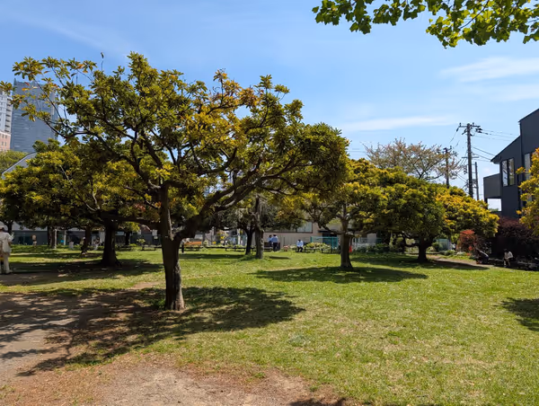 青山公園(北地区)・青葉公園の写真2