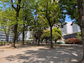 青山公園(北地区)・青葉公園の写真5