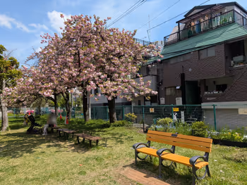 【青山一丁目駅】青山公園(北地区)・青葉公園