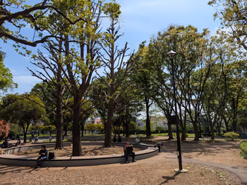 青山公園(北地区)・青葉公園の写真3