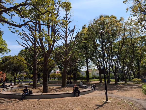 青山公園(北地区)・青葉公園の写真3