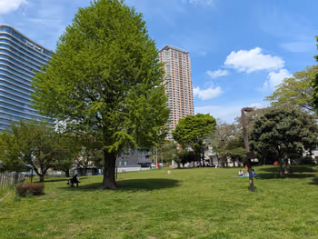 青山公園 草地広場の写真1