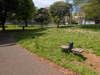 青山公園 草地広場の写真2