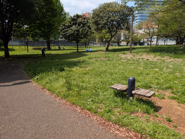 青山公園 草地広場の写真2