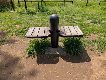 青山公園 草地広場の写真4