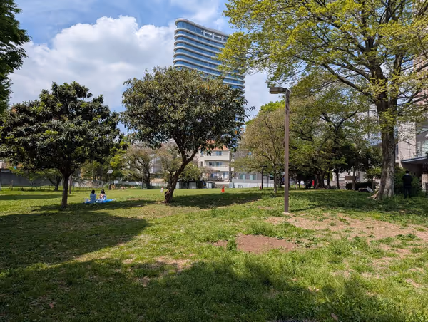 青山公園 草地広場の写真3