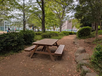 黎明橋公園の写真4