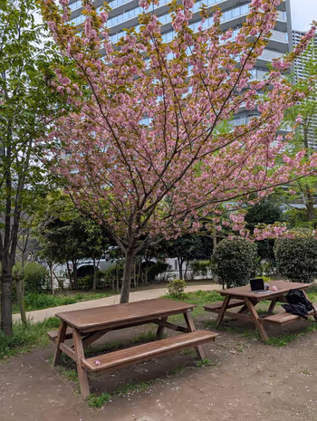 黎明橋公園の写真3