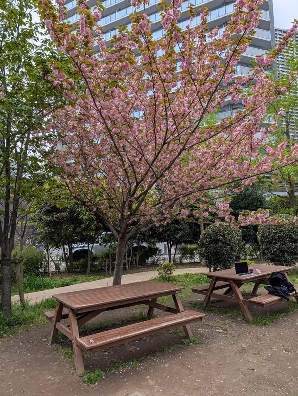黎明橋公園の写真3