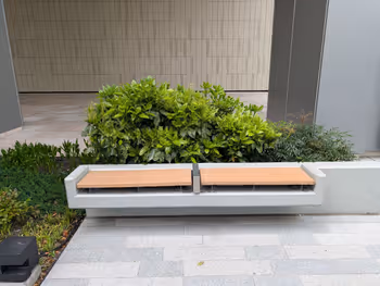 晴海ウェーブガーデン前の写真1