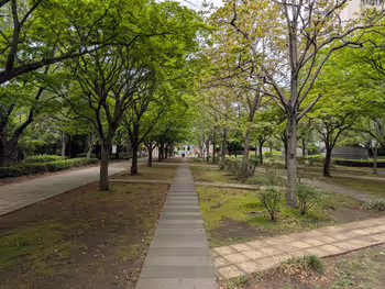 晴海第一公園 ふれあいの森の写真3