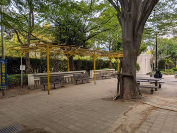 晴海第一公園 ふれあいの森の写真5