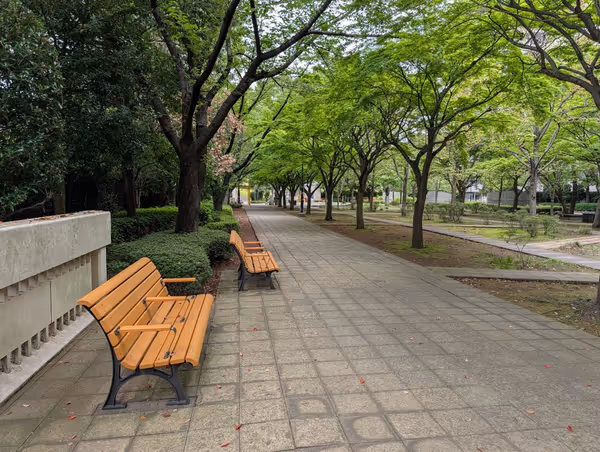 晴海第一公園 ふれあいの森の写真1