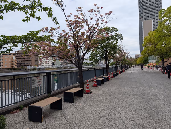 桜の散歩道の写真1