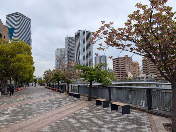 桜の散歩道の写真5