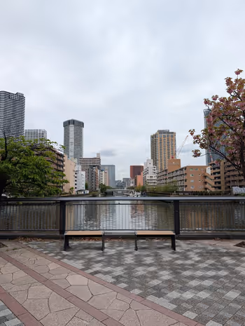 桜の散歩道の写真4